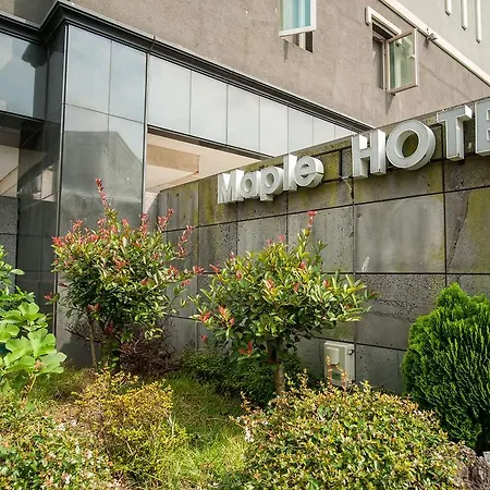 Maple Hotel